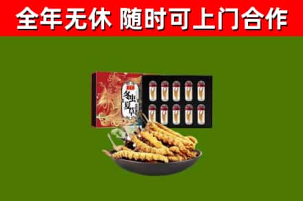 黑河回收冬虫夏草价格